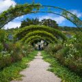 pacciamare il giardino