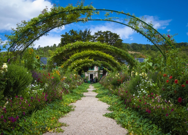 pacciamare il giardino